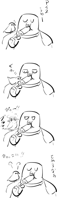 インコはアイスを食べられない 