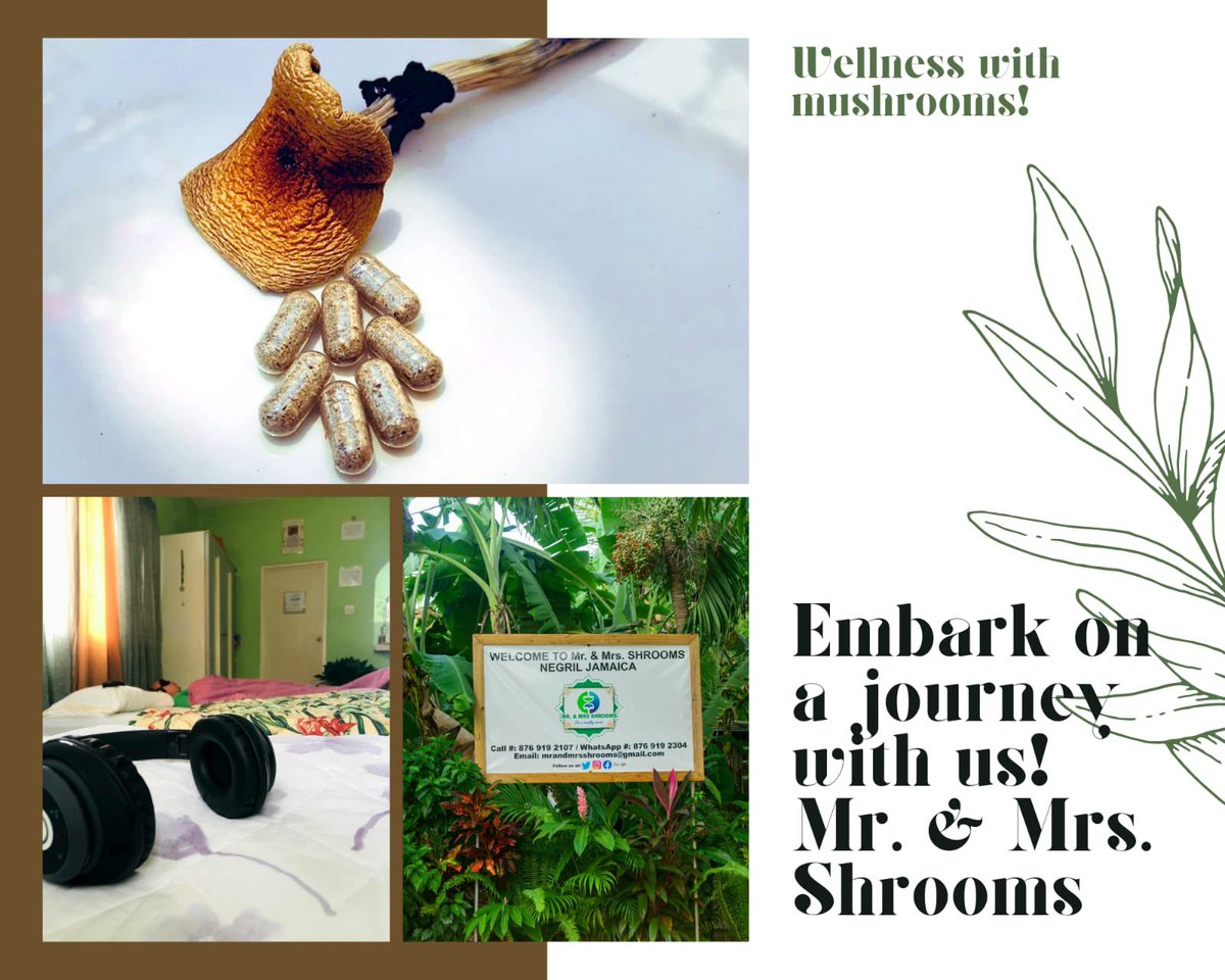 MrMrsShrooms's tweet photo. https://t.co/8r4TMATwE6

Discover wellness with Mr &amp; Mrs. Shrooms. https://t.co/N5fMsypHeQ