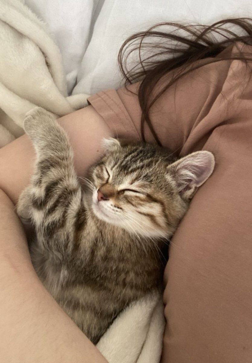 a estas horas de la noche ya empiezo a sentir el cansancio así que mi bebé y yo les deseamos muy buenas noches. kisses, kisses. ♡ ♡