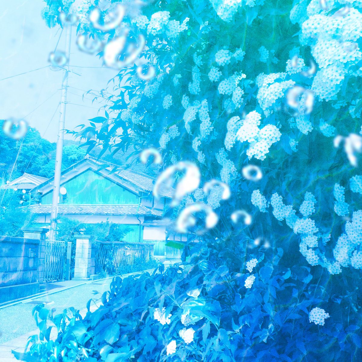 orika_studio02's tweet photo. #画像だけで夏を感じさせる選手権 https://t.co/R8twW9RK6A