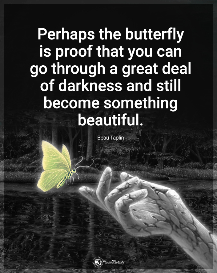TrainingMindful's tweet photo. “Perhaps the butterfly is proof that..." https://t.co/sJ3AMJhIny