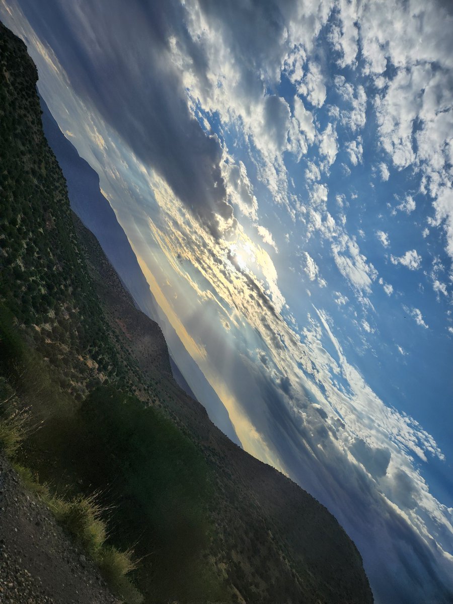 MerlinBunnyFox's tweet photo. Even with the heat and everything that happens, nature is beautiful https://t.co/1J4b4NUcBR