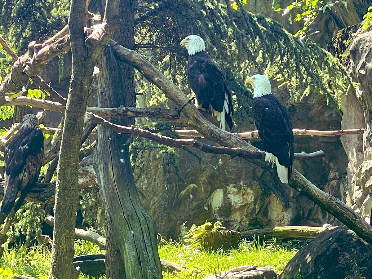 Dr. Margaret Brooks tweet media