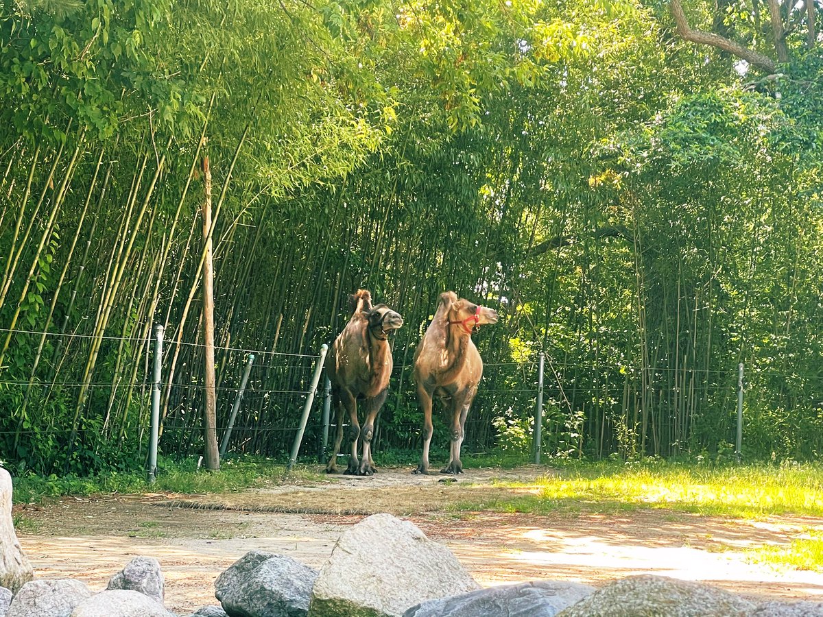 Dr. Margaret Brooks tweet media