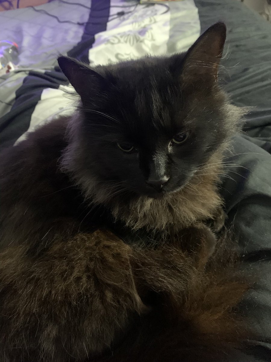 Loki Omen (They/He) tweet media