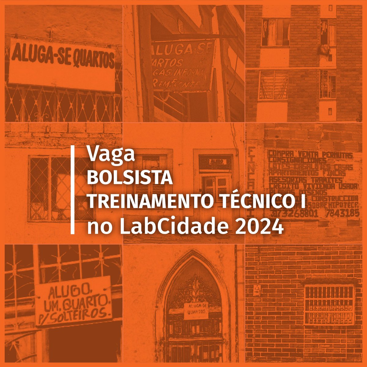 LabCidade tweet media