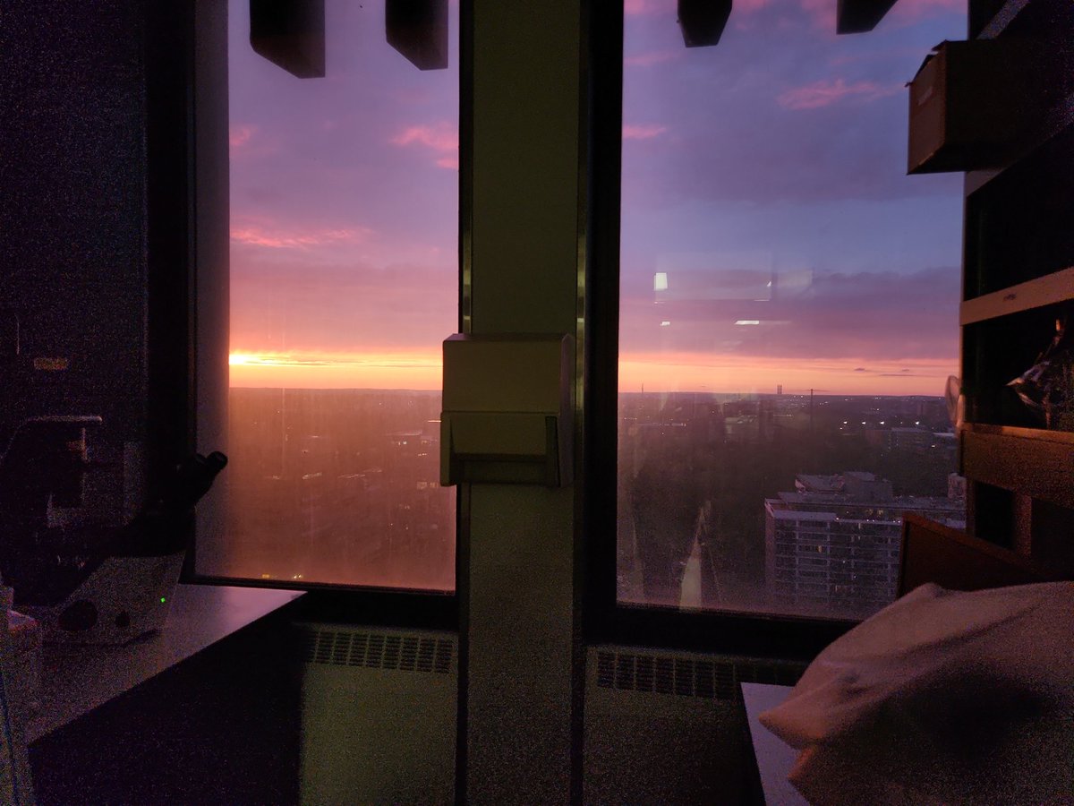 Melina A. Agosto tweet media