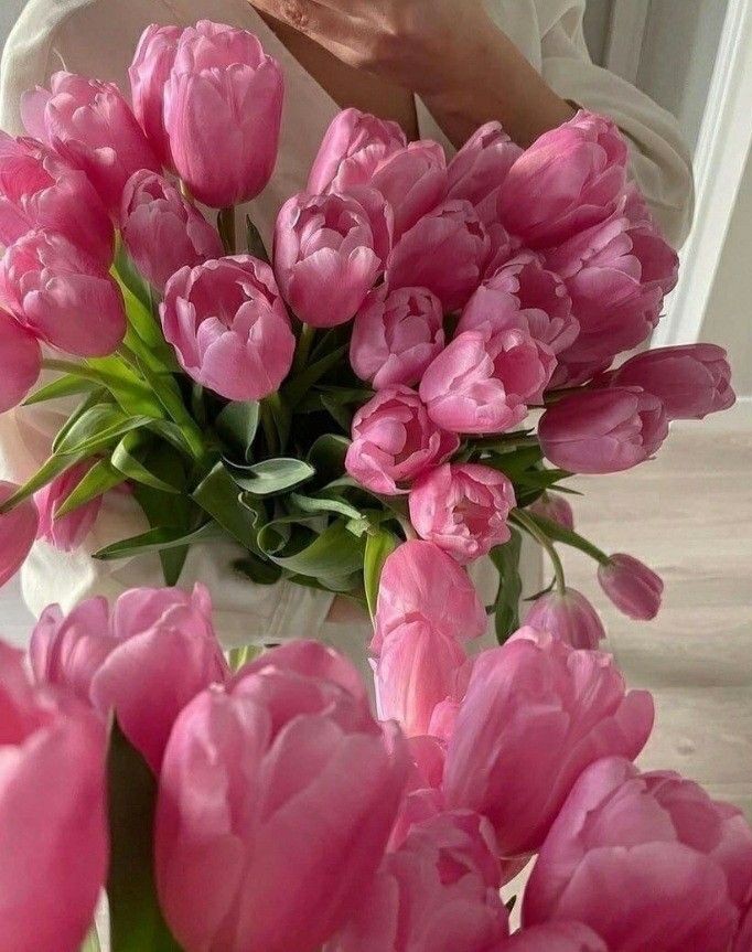 I love tulips 🌷