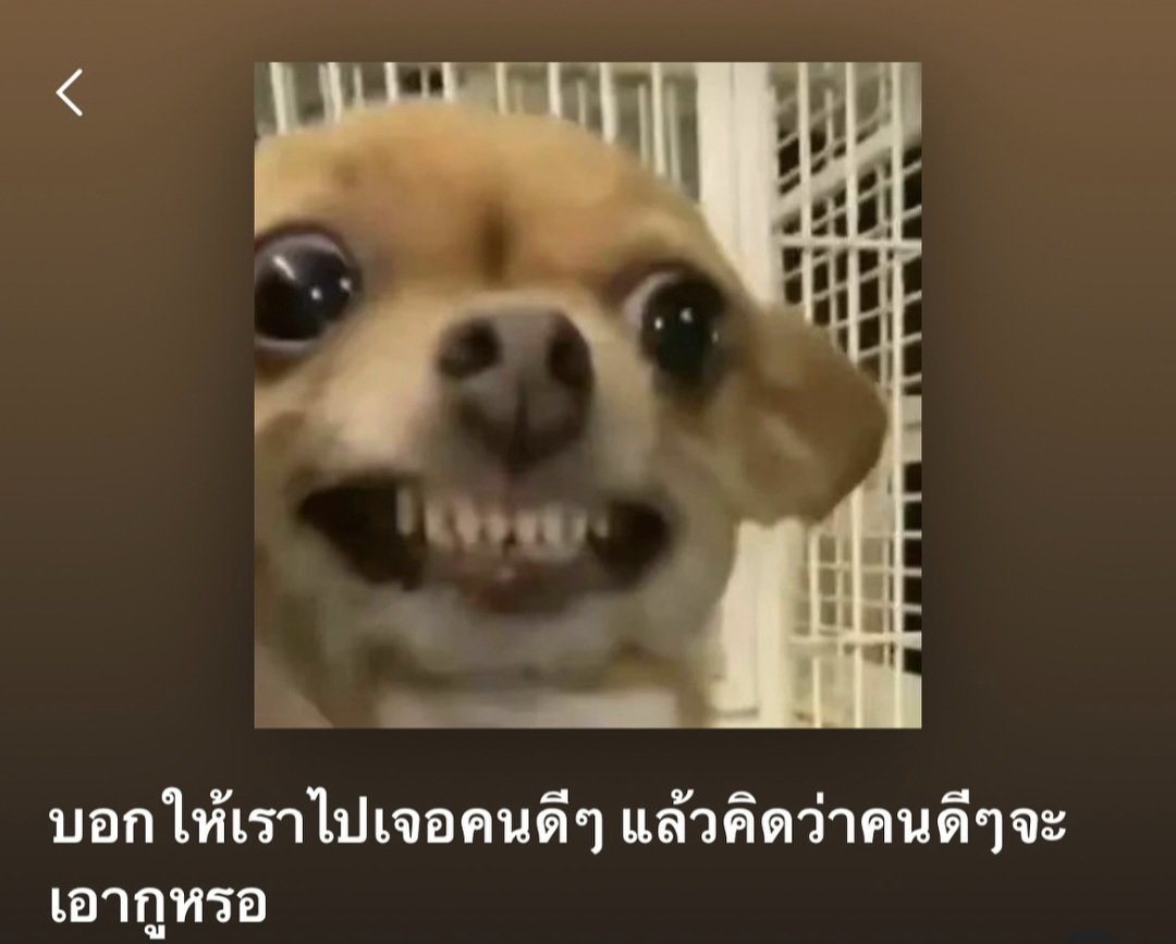 เอ้า