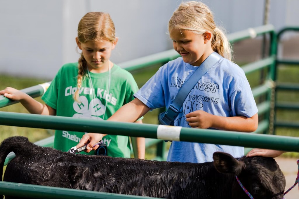 shelbyctyfairia's tweet photo. The Shelby County Fair is coming up this year. Get your boots on and saddle up! We can’t wait to show you everything that the fair has to offer. From bull riding to Little Hands on the Farm. Come join us July 7-15 at the Shelby County Fairgrounds. FREE ADMISSION! https://t.co/psBtWbt5Qg
