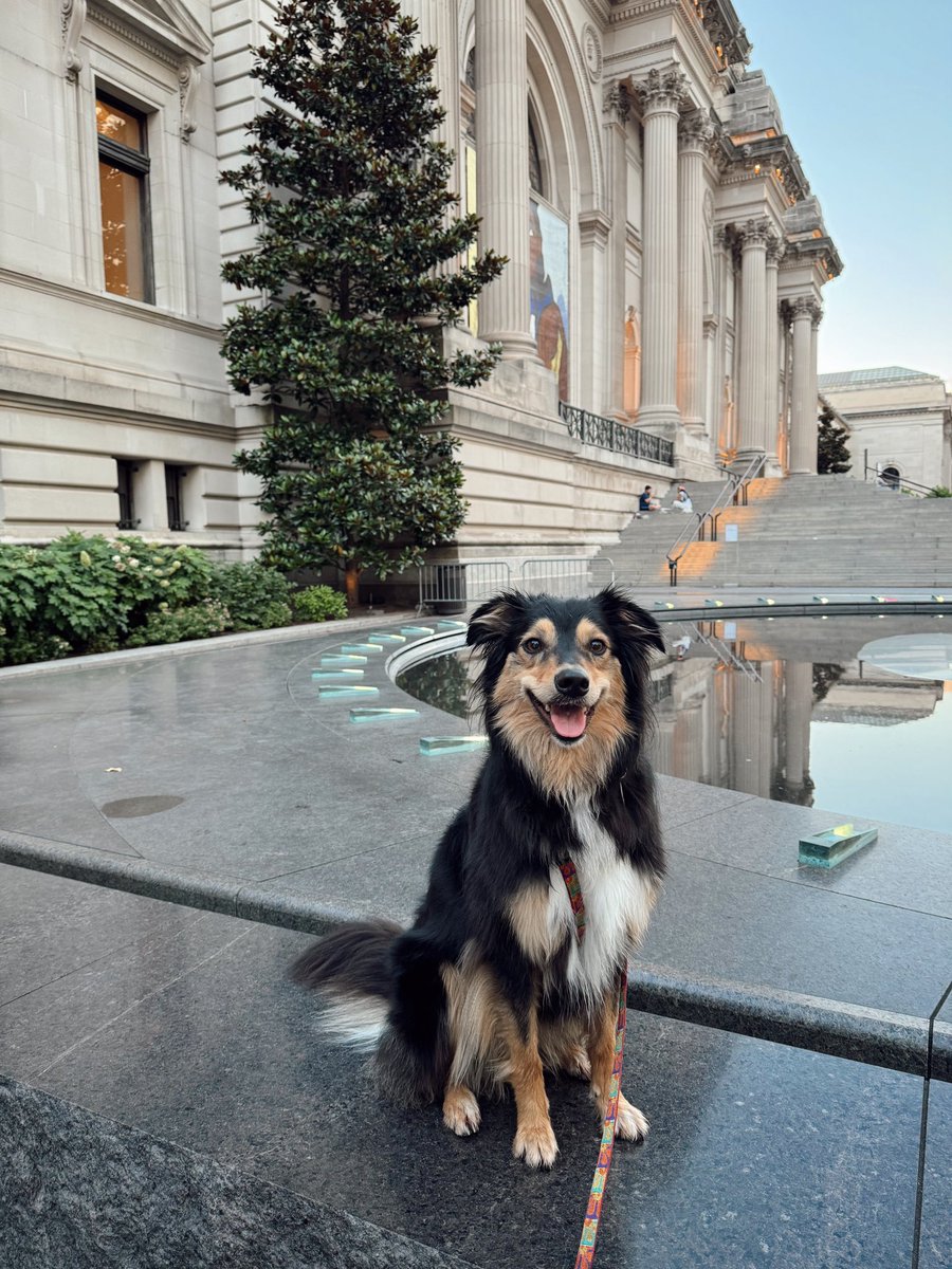 Danielle Moran tweet media