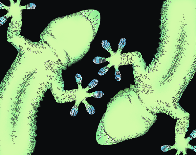 Now Online Polarized endoplasmic reticulum–plasma membrane contacts in cell migration dlvr.it/T92NFG