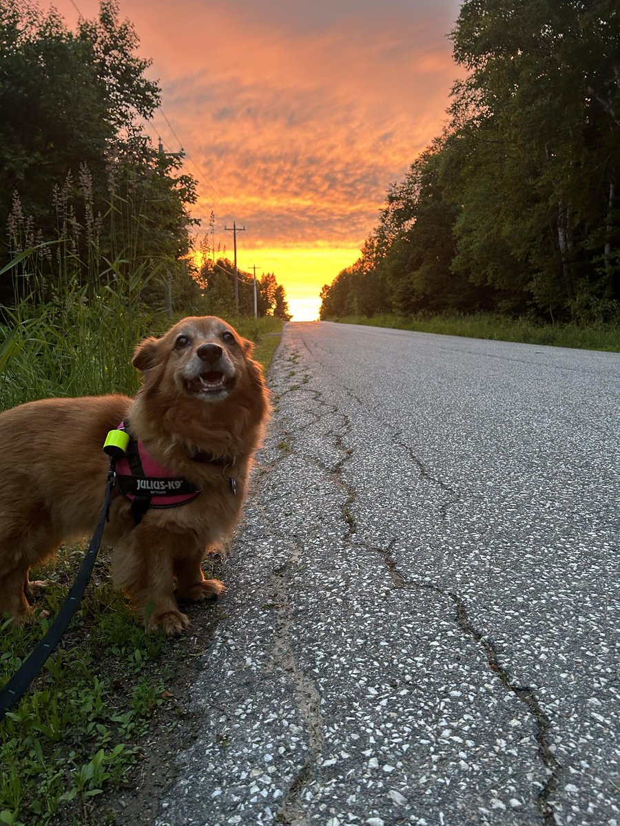 Ms__Hewitt's tweet photo. Home ❤️ #Cormack https://t.co/8E9UW2xres
