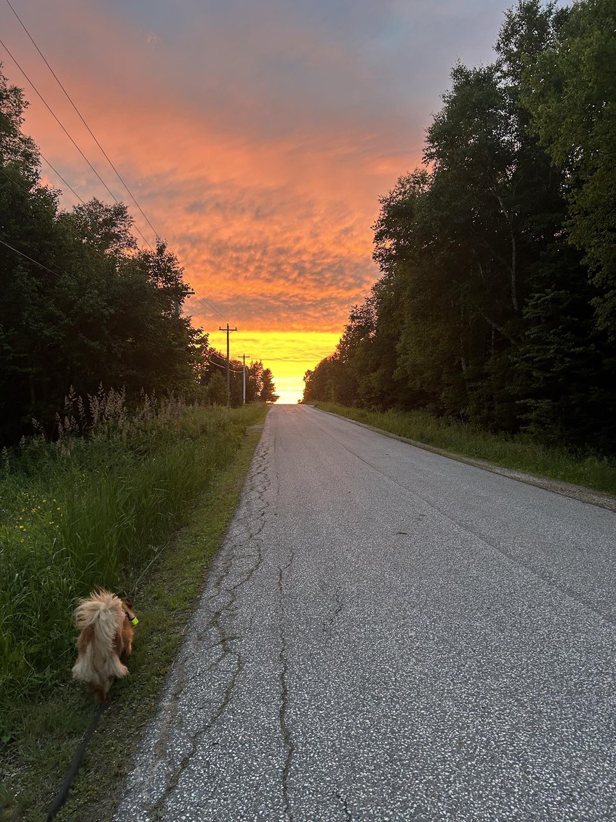Ms__Hewitt's tweet photo. Home ❤️ #Cormack https://t.co/8E9UW2xres