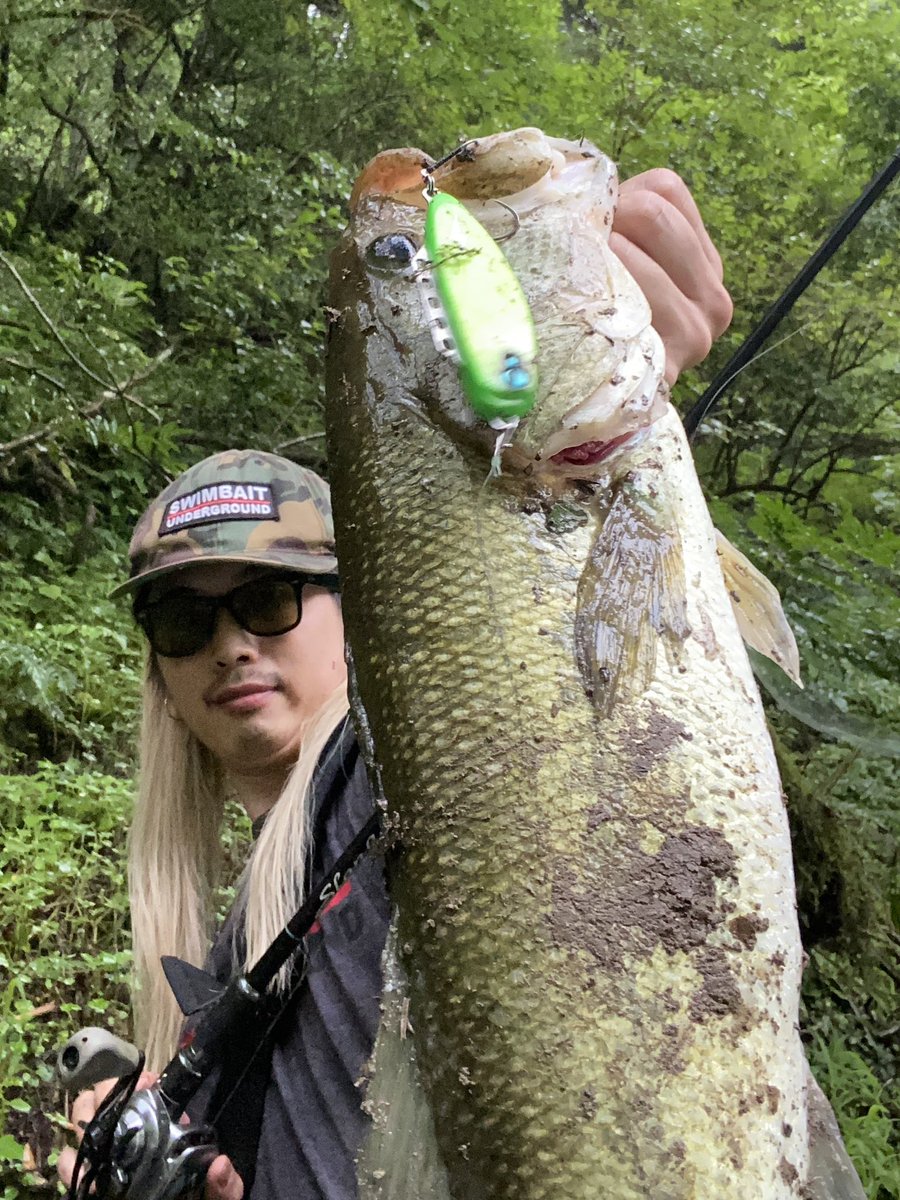 tinybeccha61's tweet image. パニックアクションで追わせて、足元シミーフォールで🤟💥

めっちゃ久しぶりに釣りした〜
細いけど、ゴジャップに感謝✨

#DIVISER
#THREEBACK85