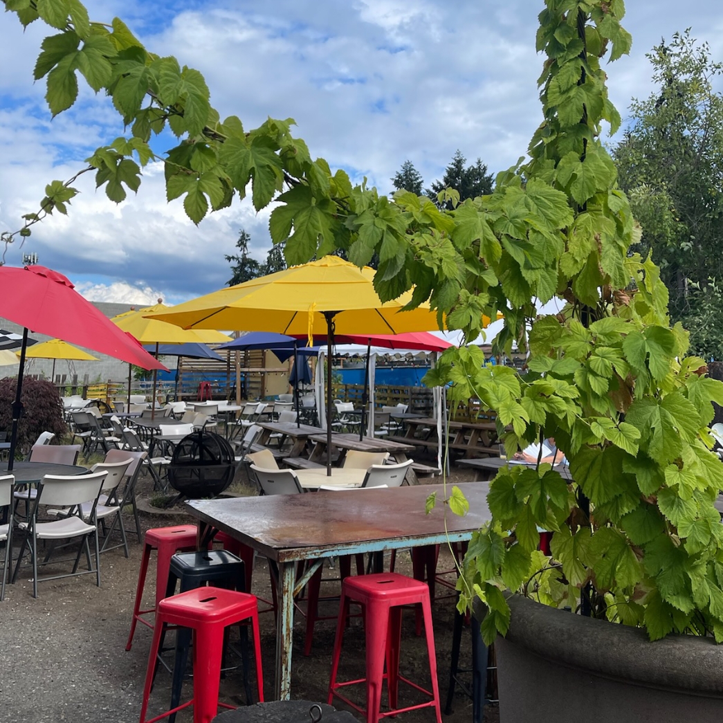 192BrewingCo's tweet photo. Such a lovely day for a beer garden! 
Did you know we have 3 off our most popular beers back on tap now? 
Shticky Blonde
Wally Hop IPA
Kenmore Gold (light pale ale) https://t.co/SBtQvI3Kcp