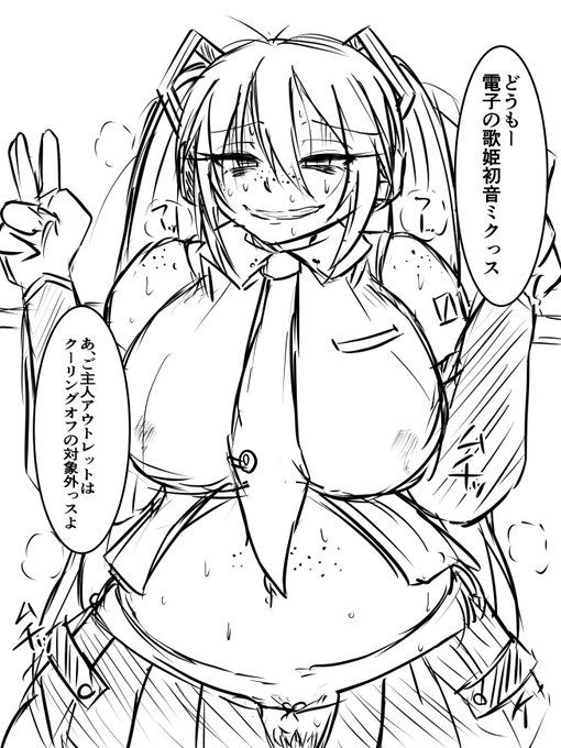 再調整品の特売ミクさんを買ったらえらいのが来た 