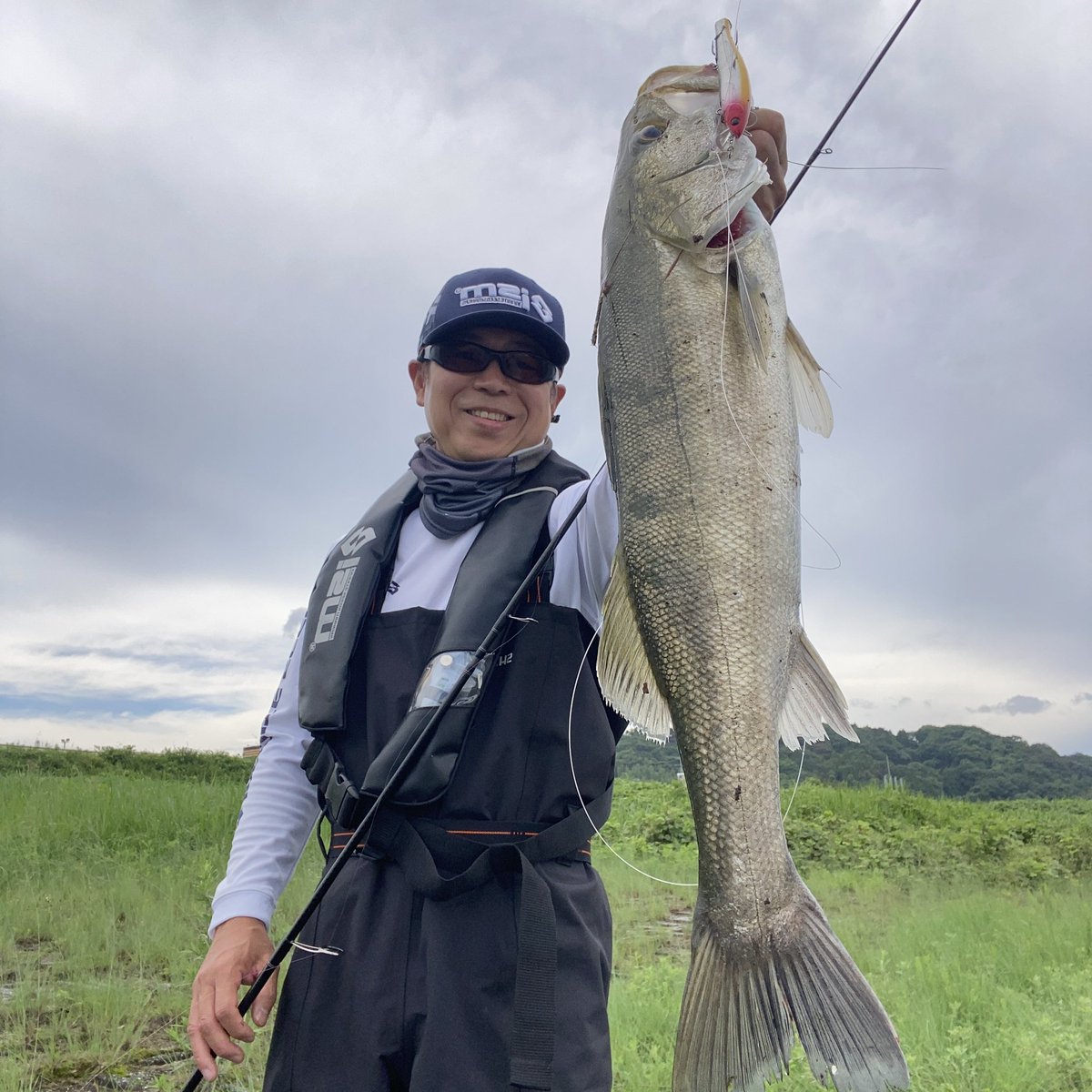 chobi178's tweet photo. ismソルトチームの集合時間まで時間があり、それまで地元河川でシーバスフィッシング！
幸先よくレイバー115Fで♪
#ism #infiniteseedsmakers
#zazafield_by_ism
#RAVER115F
#がまかつ #トレブル #SPMH
#HYPERSHIELD
#Gamakatsu_LUXXEフックモニター #大分 #シーバス #PR https://t.co/oxpOKyyetZ