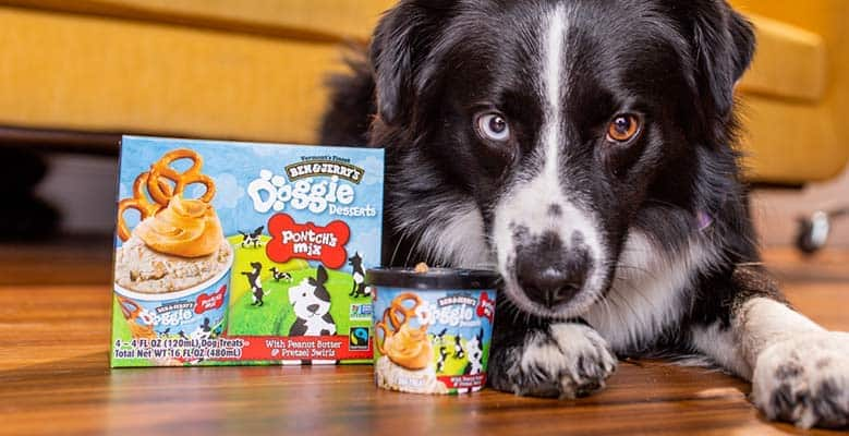 dogdogapp's tweet photo. Ben &amp; Jerry’s Doggie Desserts come in signature pints just for dogs. Share a cool treat with your furry friend! Tag us at @DogDogApp! 🍨🐶 #DogFriendly @benandjerrys #DoggieDesserts #dogicecream https://t.co/1TPdRlFS7K