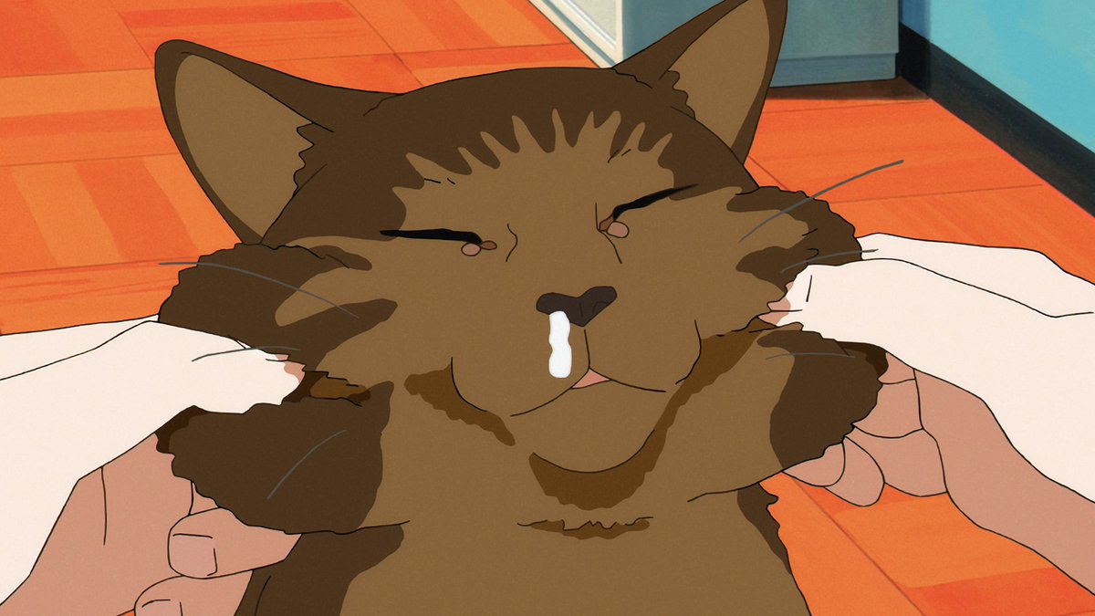 Crunchyroll's tweet photo. Haven't watched Sonny Boy yet? Here are the cats from the first episode to entice you 🐱 https://t.co/kXXEJC3gdl