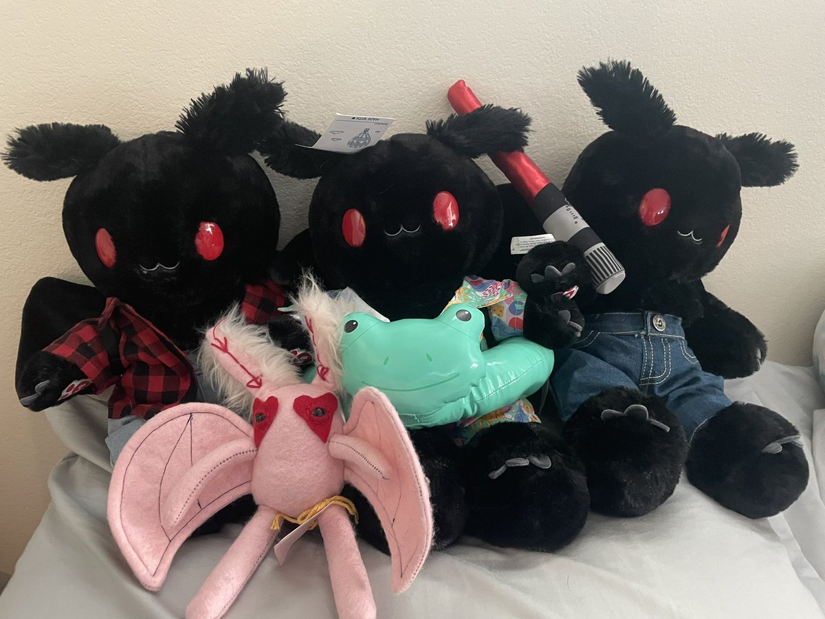 Bekcara's tweet photo. Moth babies 💕✨ https://t.co/QugeggygOP