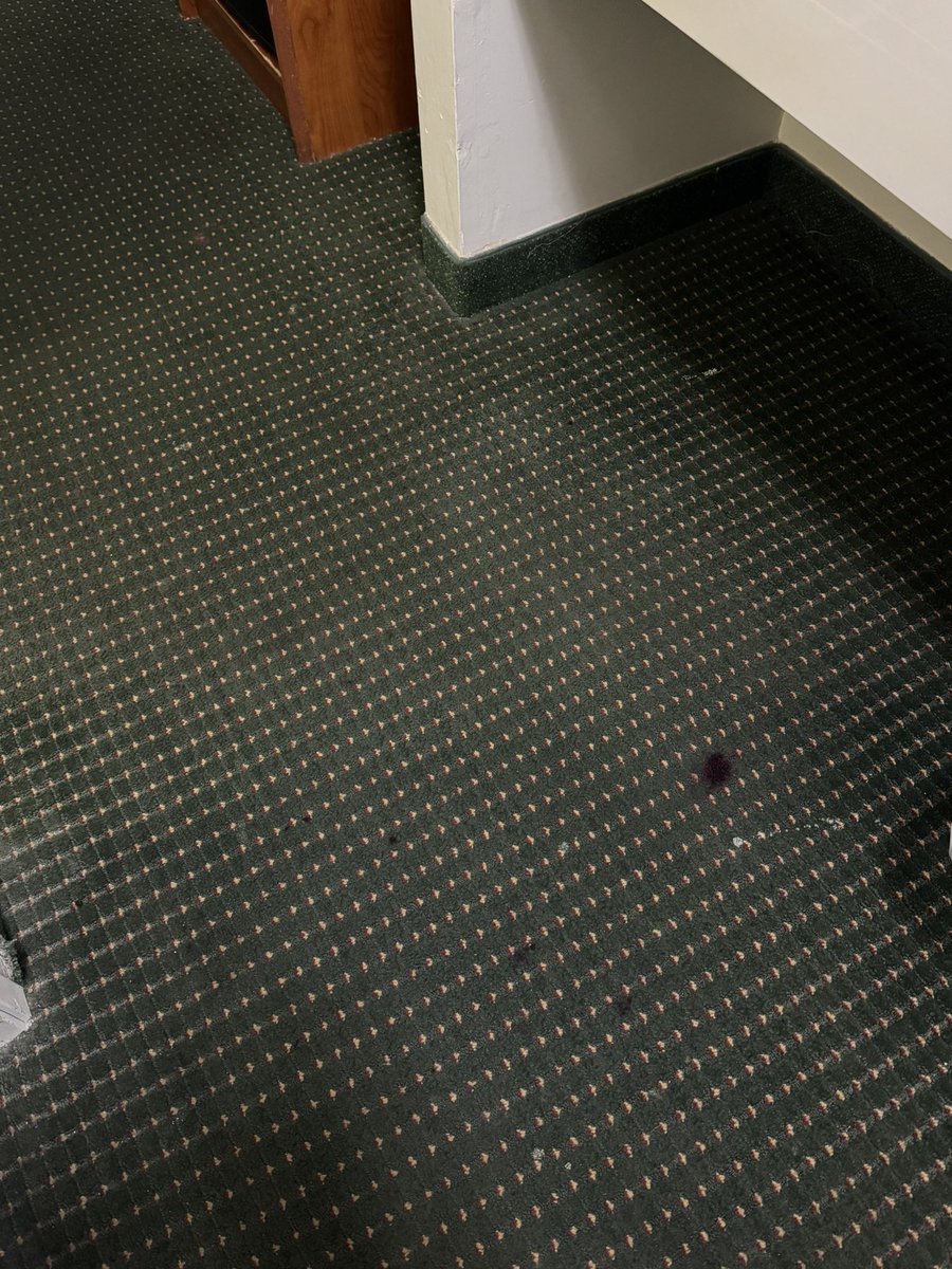 evinsmj's tweet photo. Here are some examples of the quality that this establishment thinks is appropriate for guests. https://t.co/kOqBepHoxy