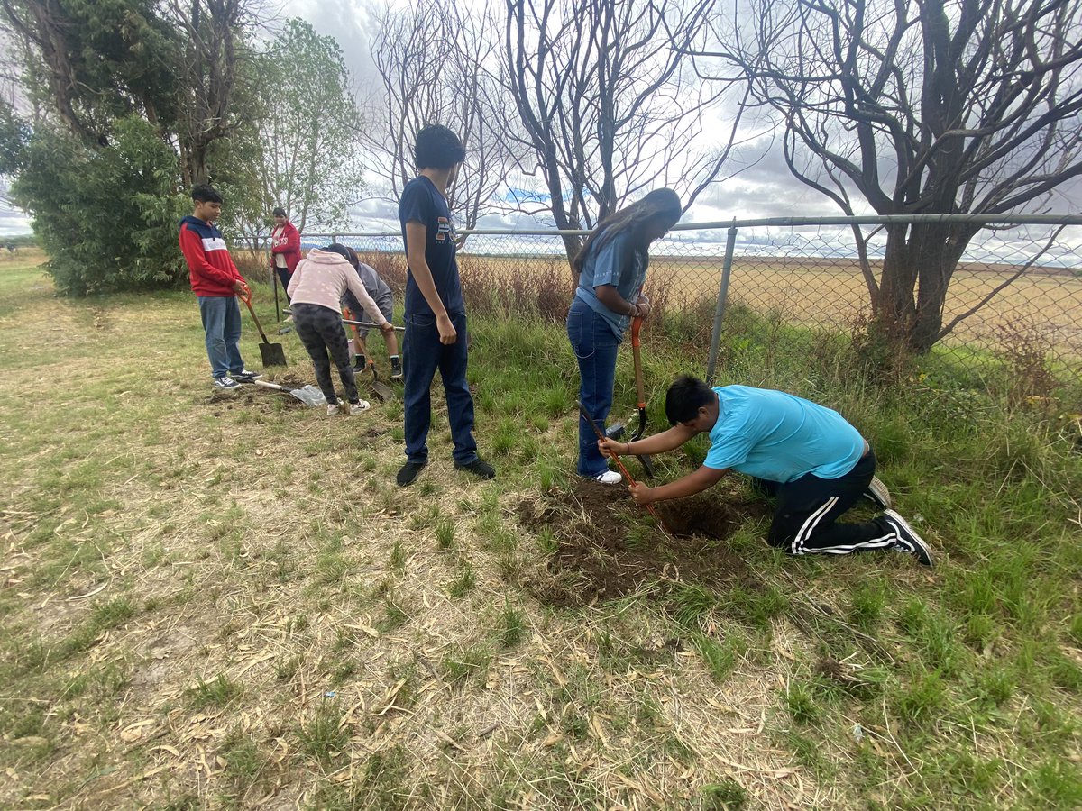 _RobledoJM's tweet photo. 🌿 Jornada de Reforestación y Limpieza en nuestra querida escuela #EST18. #Cuauhtémoc #Cuencamé, #Durango🌿
Nos comprometemos con el cuidado del medio ambiente y la creación de un futuro sostenible para todos. #Cuauhtémoc #Durango @SEED_Dgo @guillermoadamec @SEP_mx @Letamaya https://t.co/GX1XjqrCjn