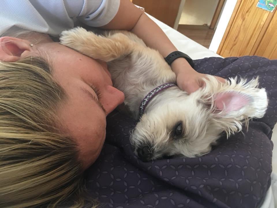 stephblum_'s tweet photo. No one ever speaks of how hard life will be without your first pup. It’s only been 4 days… Missin you like crazy, Sasha🤍 https://t.co/nfR0Zhu9D1
