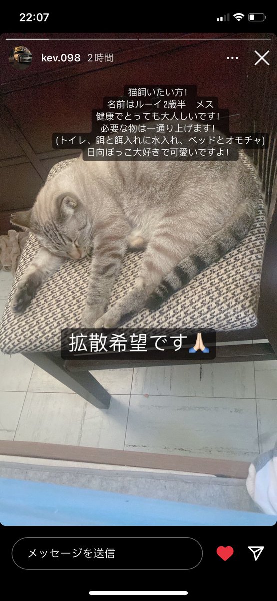 OkinawaUuuu's tweet photo. 🐈‍⬛ https://t.co/q70X0Uf2e8