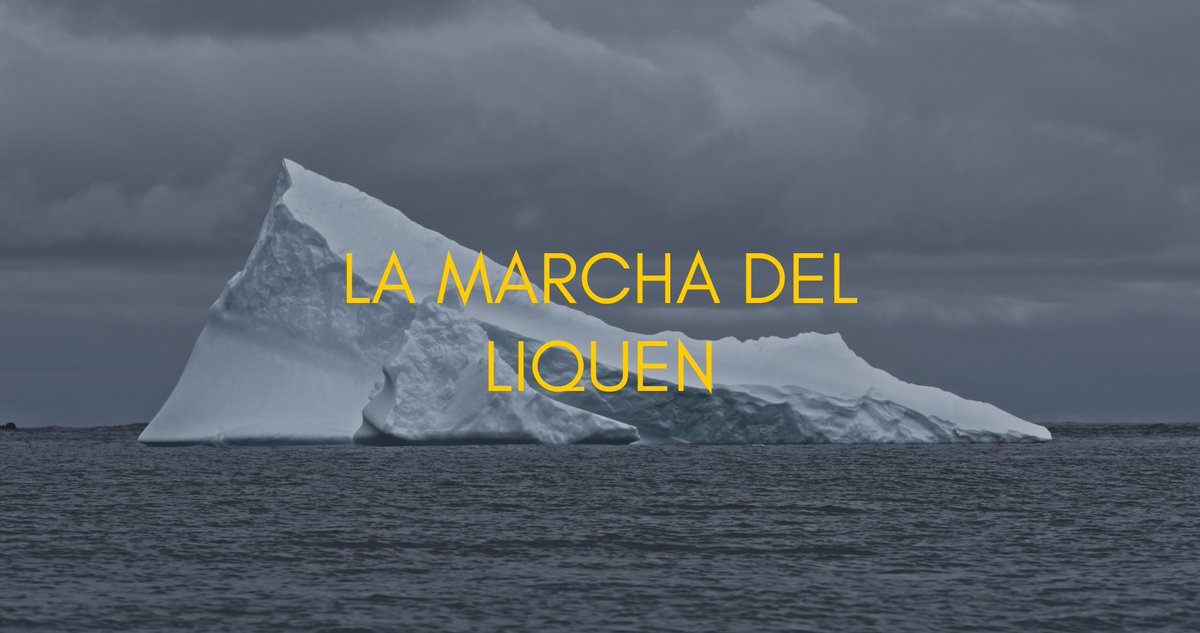 ameeoficialmx's tweet photo. LA MARCHA DEL LIQUEN   Pieza comisionada para la XV Bienal FEMSA “La Voz de la Montaña” presentándose del 23 de mayo al 25 de agosto de 2024 en la Sala Feliciano Peña @mahg_mx León, Guanajuato.  Edición de Rogelio Díaz, AMEE https://t.co/BL1a3y0IhR