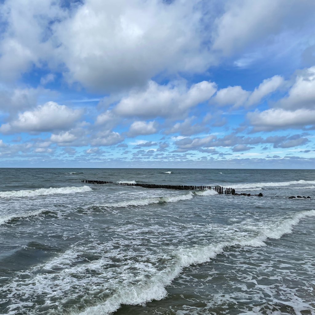 acheache's tweet image. Пока-пока, #Зеленоградск! В)