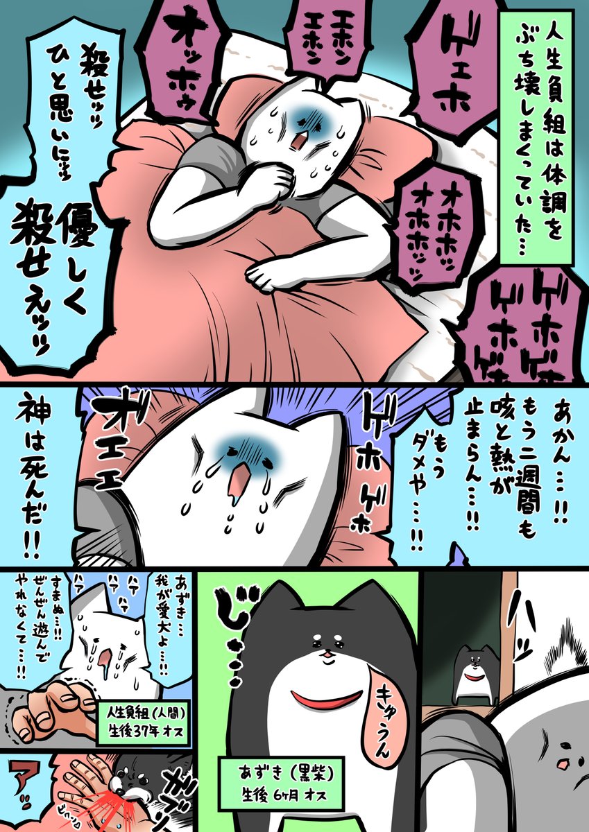縁がありこちらのマットレス(
@NELL_mattress
)を試すことになったのですが、超快眠できて最高でした。クーポンコードに「jin」と入力したら全サイズ10%割引になってお得だからぜひ試してください! #PR #NELLマットレス #ネル #ネルマットレス #NELL愛 