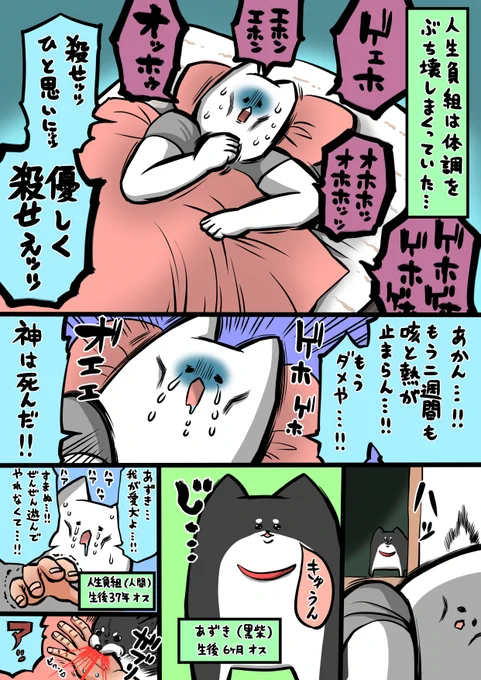 縁がありこちらのマットレス(
@NELL_mattress
)を試すことになったのですが、超快眠できて最高でした。クーポンコードに「jin」と入力したら全サイズ10%割引になってお得だからぜひ試してください! #PR #NELLマットレス #ネル #ネルマットレス #NELL愛 
