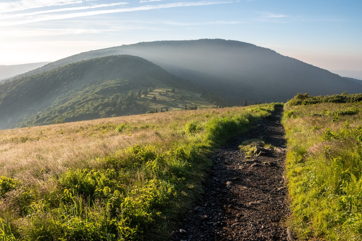 Chaney Swiney tweet media