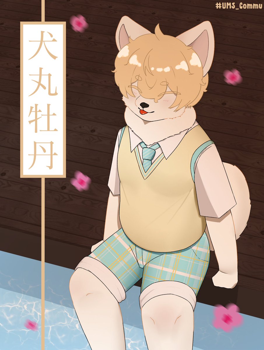 Botan 🍡✨( Slow | 🟠 ) tweet media