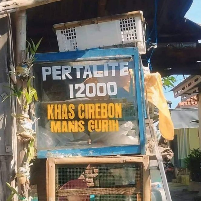 Gunawan (@aagunawan_) on Twitter photo <a href="/musksigit/">Sigit D. Wisnu</a> di rumah nasi uduk
sampe kantor โ sama onde2
ini sarapan apa lapar ya?
jgn lupa nanti makan siang empal gentong om
trus mobilnya jgn diisi pertalite ya ๐ <a href="/musksigit/">Sigit D. Wisnu</a> di rumah nasi uduk
sampe kantor โ sama onde2
ini sarapan apa lapar ya?
jgn lupa nanti makan siang empal gentong om
trus mobilnya jgn diisi pertalite ya ๐