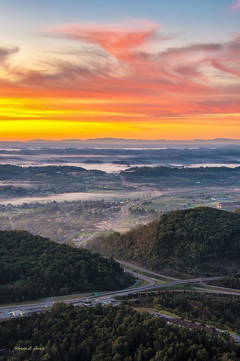 Gage Ełłison tweet media