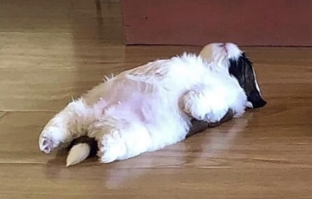 123123eric tweet media