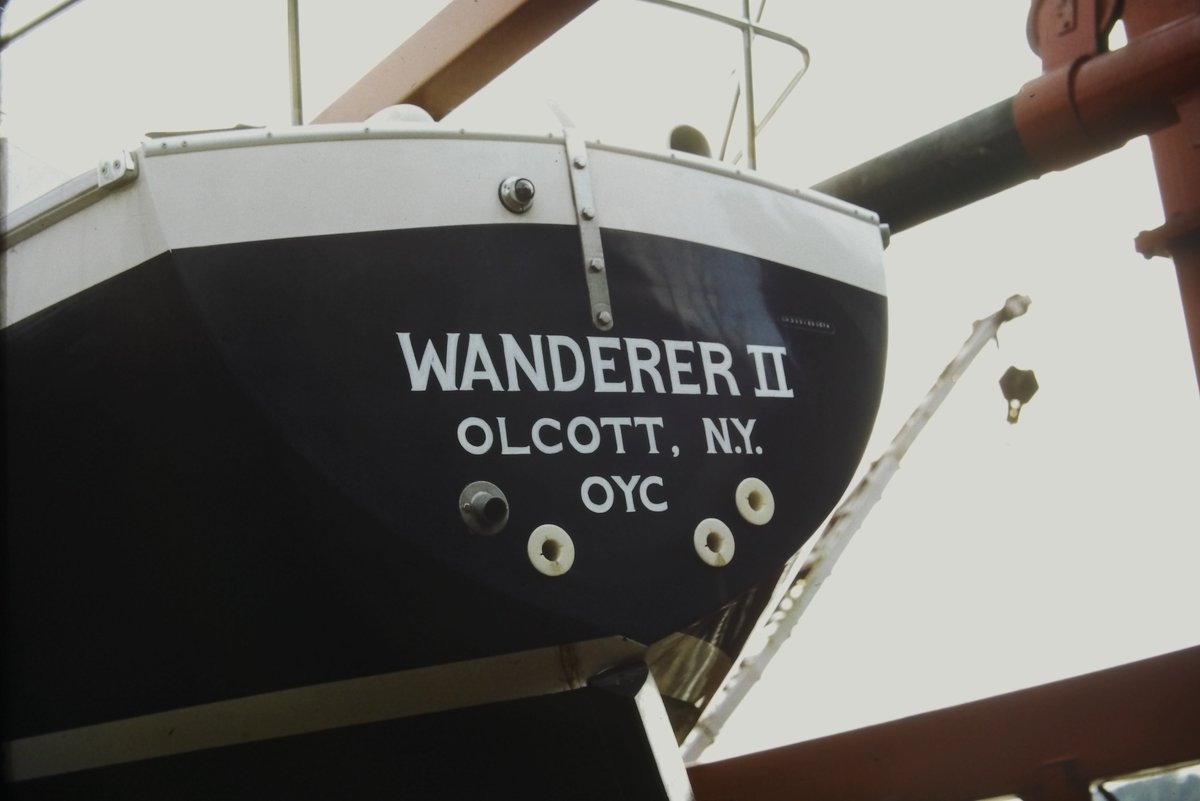 Lissa Warren tweet media