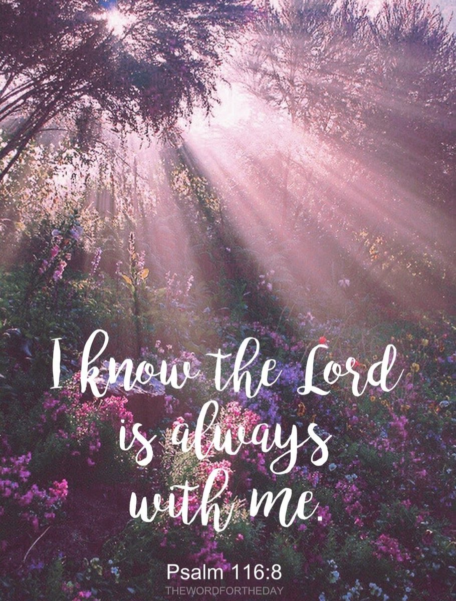 The Lord is with you. 
May His peace be yours.