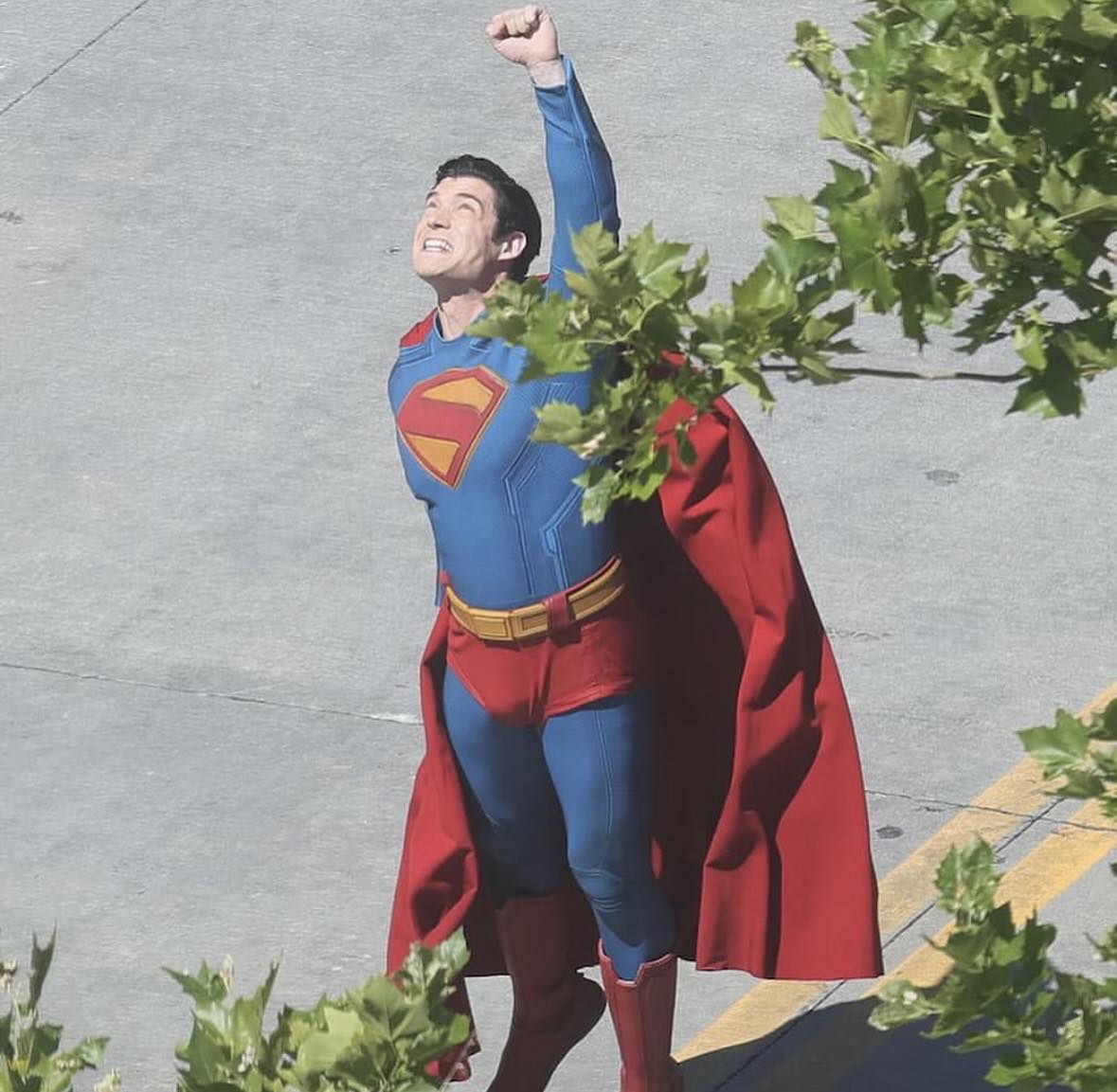 MEAD The 4K💿 Master (Tom Connors) tweet media