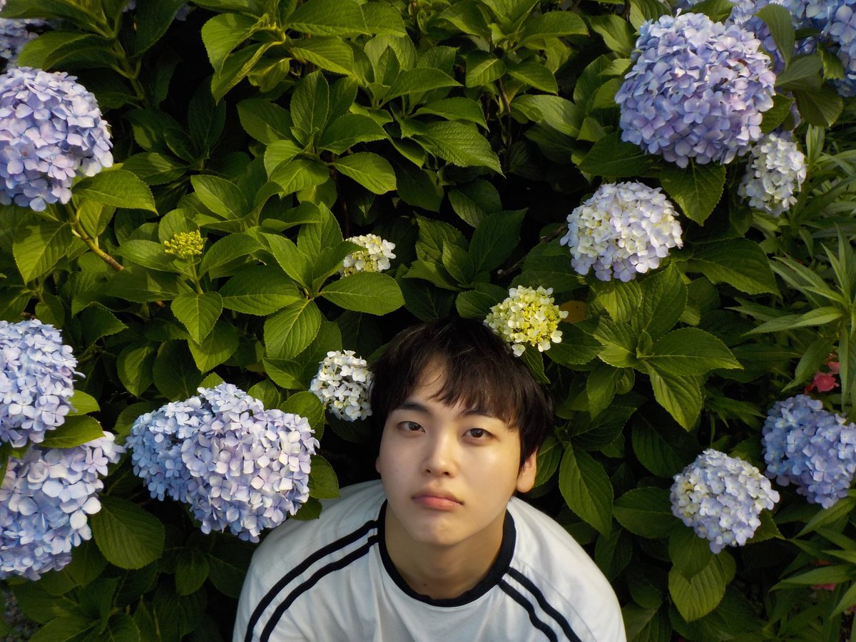 여름이었다🌿📸
#형준 #동시에 #동그란_시선에