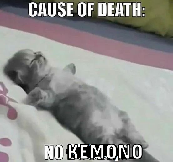 BoofMachine (@boofmachine_) on Twitter photo 