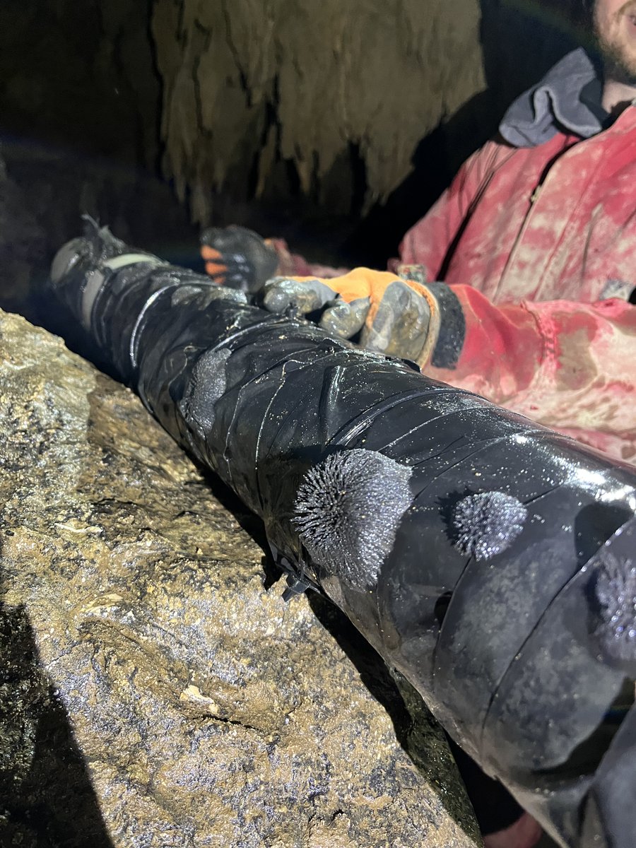 Adam Hartland 🔋⚡️ tweet media