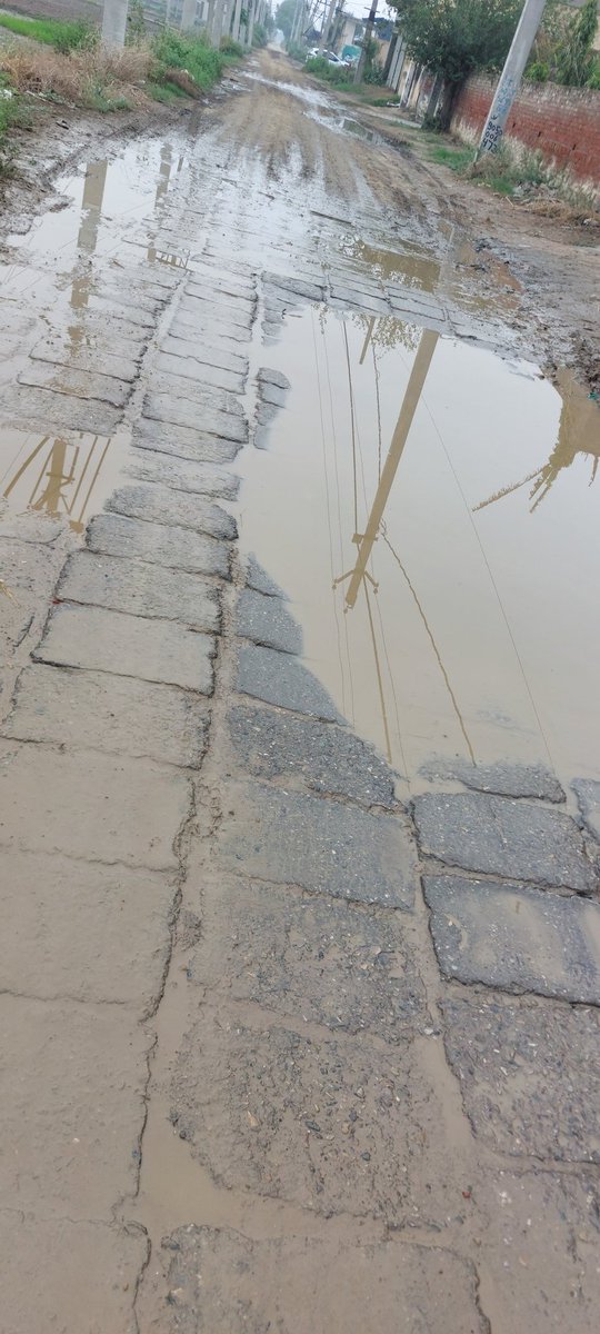 MadanMsaini's tweet photo. @dc_panipat @cmohry @NayabSainiBJP  Sir, this is the situation on Israna Bijawa road near Vidya niketan school. This is just 200 mtr road please elevate and repair it, all colony residents and school children suffering. PWD DEPT PLEASE DO SOMETHING https://t.co/dqgGjOl3N1