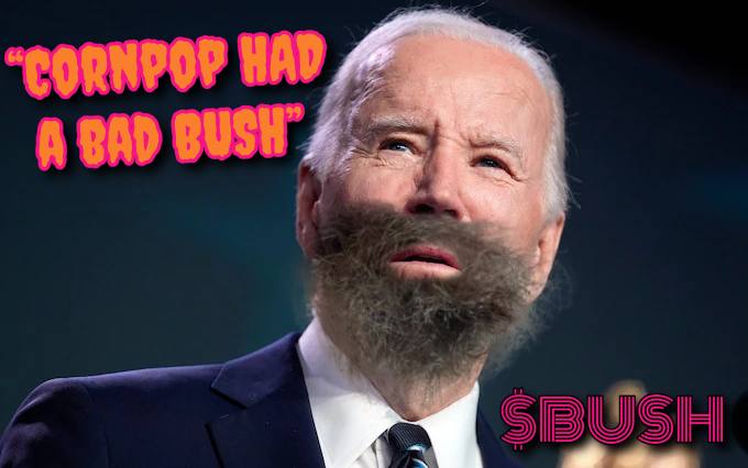 Bush On Solana tweet media