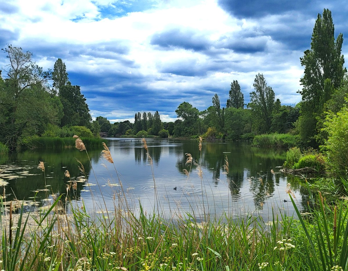 Soph0571's tweet photo. @DailyPicTheme2 #why oh why is the sky so grey though it is July l
 Captured in Hyde Park yesterday.
#DailyPi https://t.co/lvwWQA0vL7