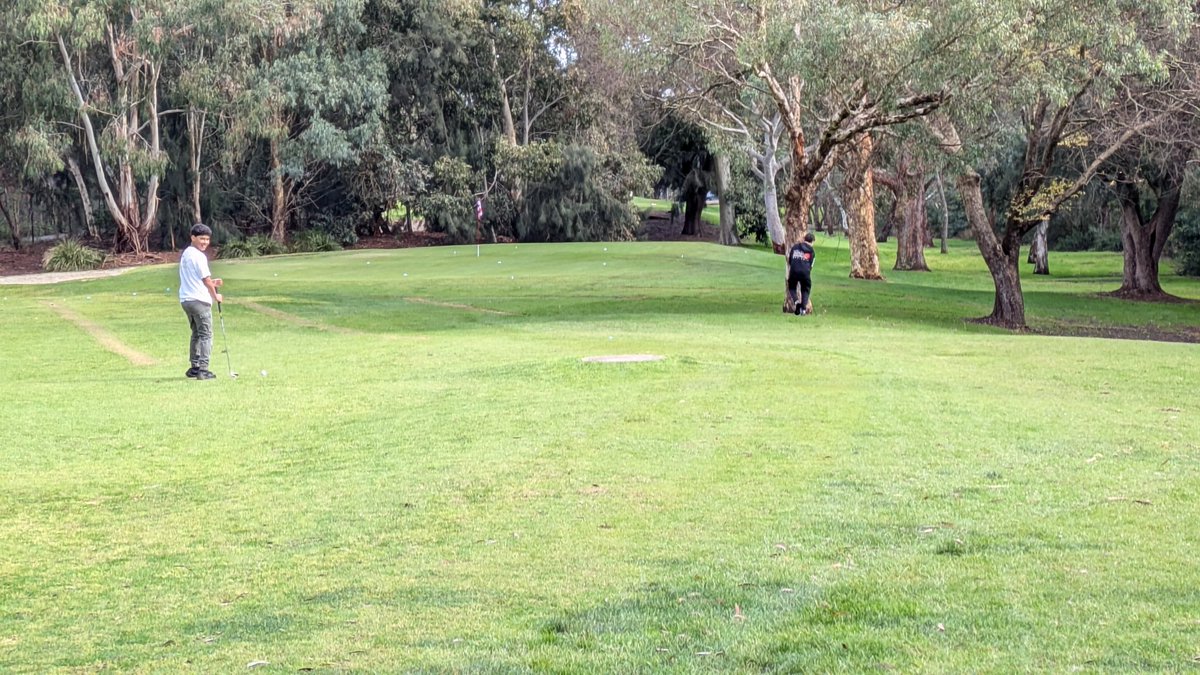 Sandy Jamieson tweet media