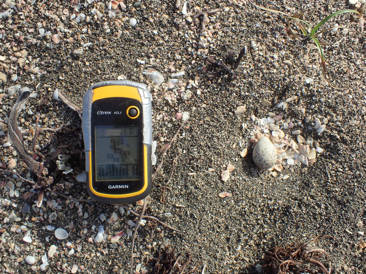 南房総 海辺の記録 tweet media