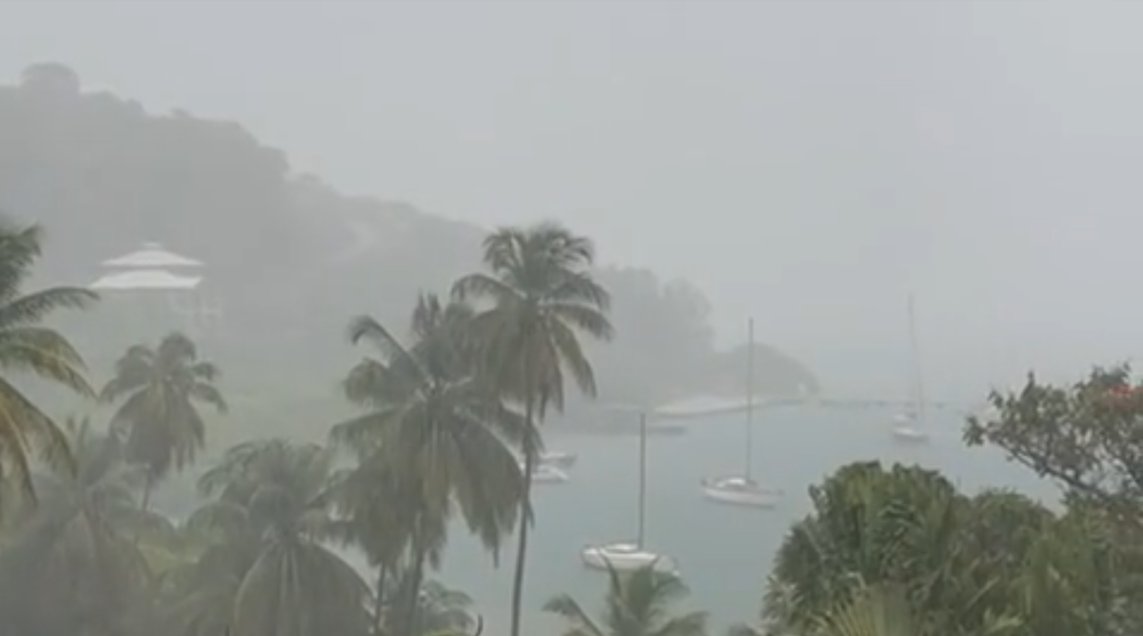 WFP Media tweet media